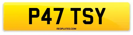 P47 TSY