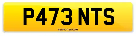 P473 NTS