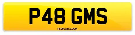 P48 GMS