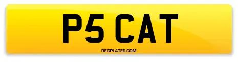 P5 CAT