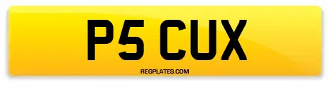P5 CUX