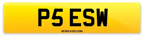 P5 ESW