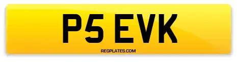 P5 EVK