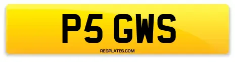 P5 GWS