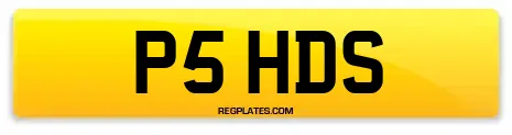 P5 HDS