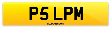 P5 LPM
