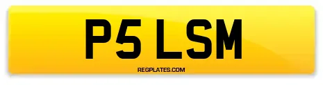 P5 LSM