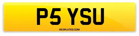 P5 YSU