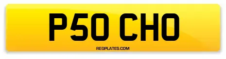 P50 CHO