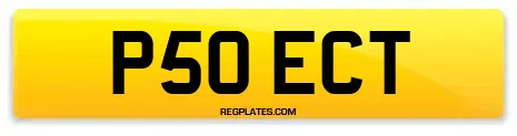 P50 ECT