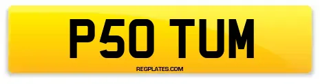 P50 TUM