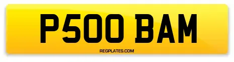 P500 BAM