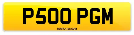 P500 PGM