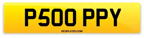 P500 PPY