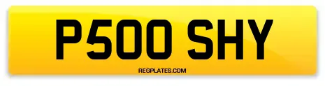 P500 SHY