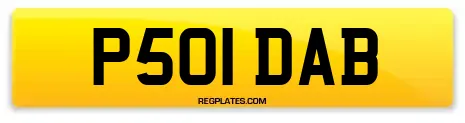P501 DAB