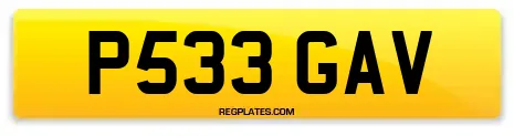 P533 GAV