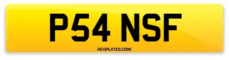 P54 NSF