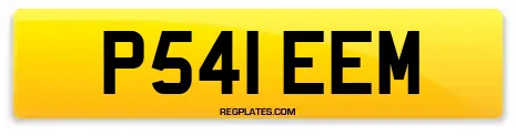 P541 EEM