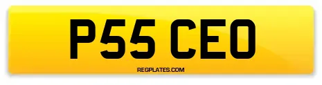 P55 CEO
