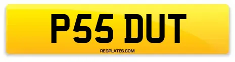 P55 DUT