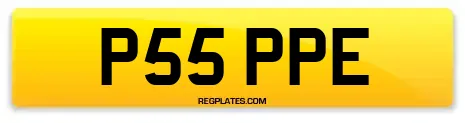 P55 PPE