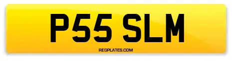 P55 SLM