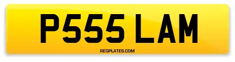 P555 LAM