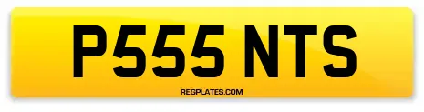 P555 NTS