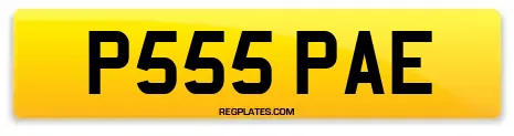 P555 PAE