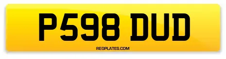 P598 DUD