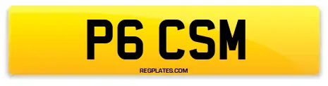 P6 CSM