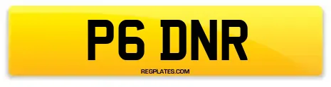 P6 DNR