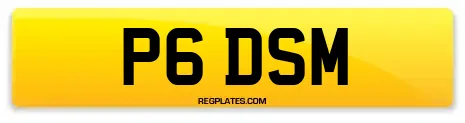 P6 DSM