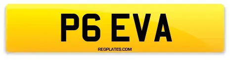 P6 EVA