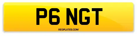 P6 NGT