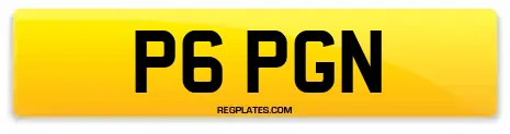 P6 PGN