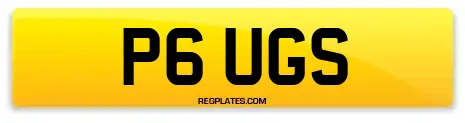 P6 UGS