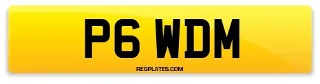 P6 WDM