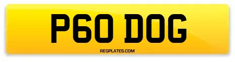 P60 DOG