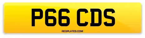 P66 CDS