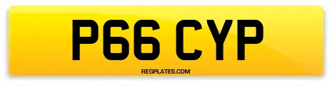 P66 CYP