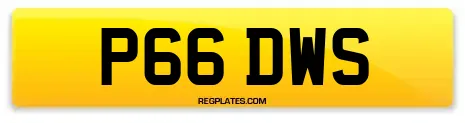 P66 DWS