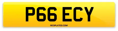 P66 ECY