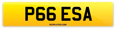 P66 ESA