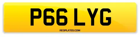 P66 LYG