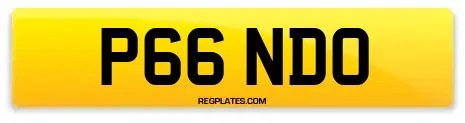 P66 NDO