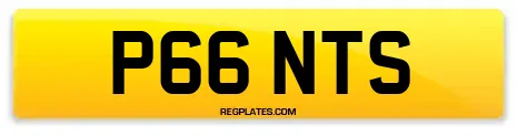 P66 NTS
