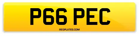 P66 PEC