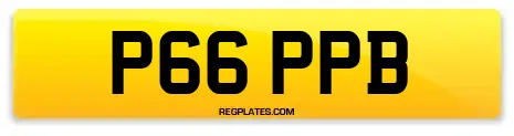 P66 PPB